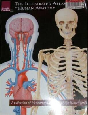 #ad #ad The Illustrated Atlas of Human Anatomy: A Collection of 25 Anatomica VERY GOOD $5.81