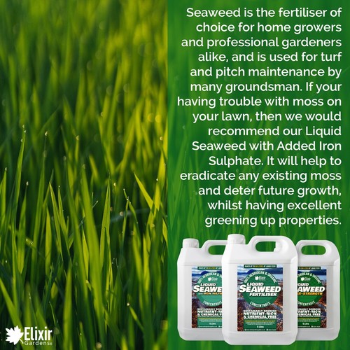 Organic 100% Hebridean Liquid Seaweed Fertiliser & Plant Food 500ml - 20L Sizes - Picture 3 of 8