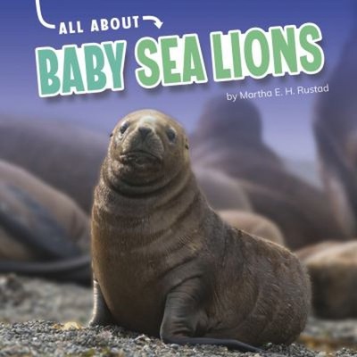 All about Baby Sea Lions Hardcover Martha E. H. Rustad