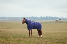 Weatherbeeta Comfitec Tyro 360g Horse Turnout Rug,  Full Neck Combo, Heavyweight