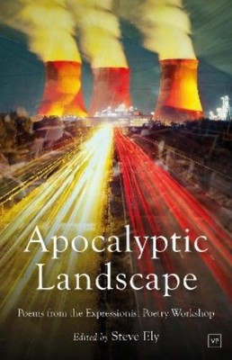 Steve Ely Apocalyptic Landscape (Taschenbuch)