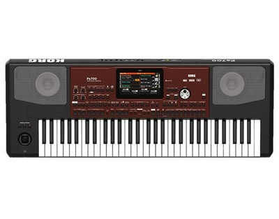 KORG Pa700 61-Key Professional Arranger Keyboard Touchscreen from Japan