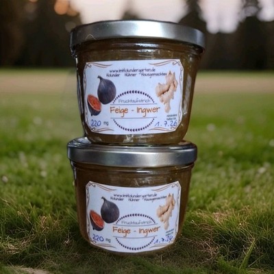 NEU hausgemacht Feige Ingwer Fruchtaufstrich 2x 220 ml ! NEU Omas Superfood !