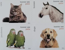 20 FOREVER FIRST CLASS LETTER STAMPS Pets STAMPS MNH 2016 BOOK