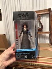 Star Wars The Black Series Rey Dark Side Vision Rise of Skywalker 2021 Brand New