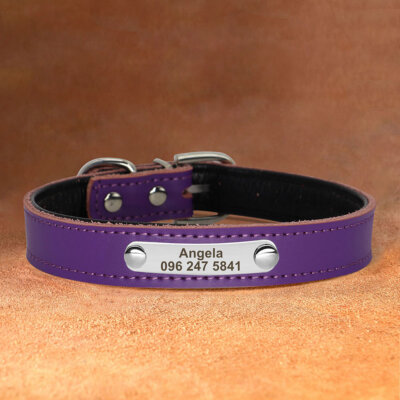 Personalisiert Leder Hundehalsband mit Wunschgravur Name Telefonnummer  Weiches | eBay.de