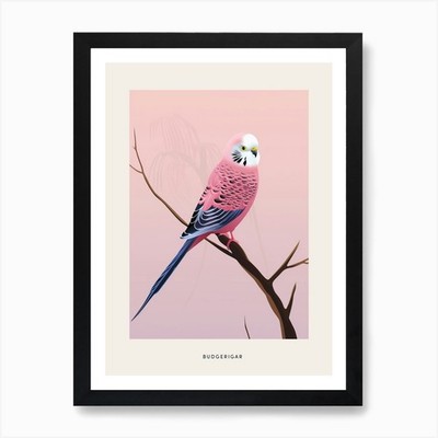Minimalist Budgerigar 4 Bird Poster Framed Wall Art Poster Canvas Print Picture
