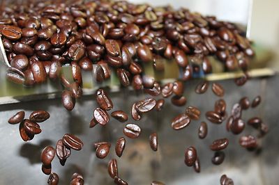 WORLD TOUR FRESH ROASTED COFFEE SAMPLER # 1 MEDIUM ROASTED 6 BAGS 1 POUND EACH