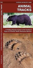Animal Tracks: A Folding Pocket Guide to the Tracks  Signs of Familiar North Am