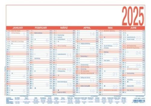 Zettler - Arbeitstagekalender 2025 Blau/rot, 29,7x21cm, Plakatkalender