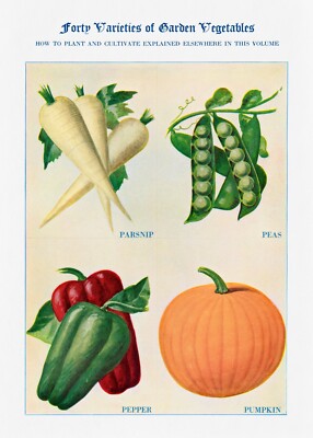 10090.Decor Poster.Room home wall Interior art design.Kitchen vegetables.Salad