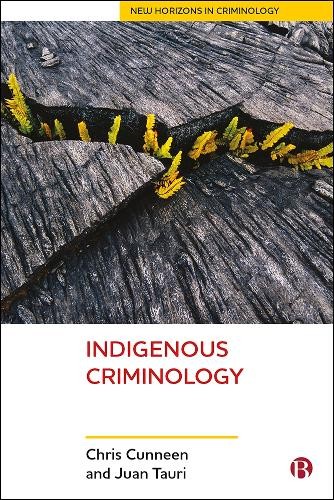 Indigenous Criminology Cunneen Paperback Bristol University Press - Image 4