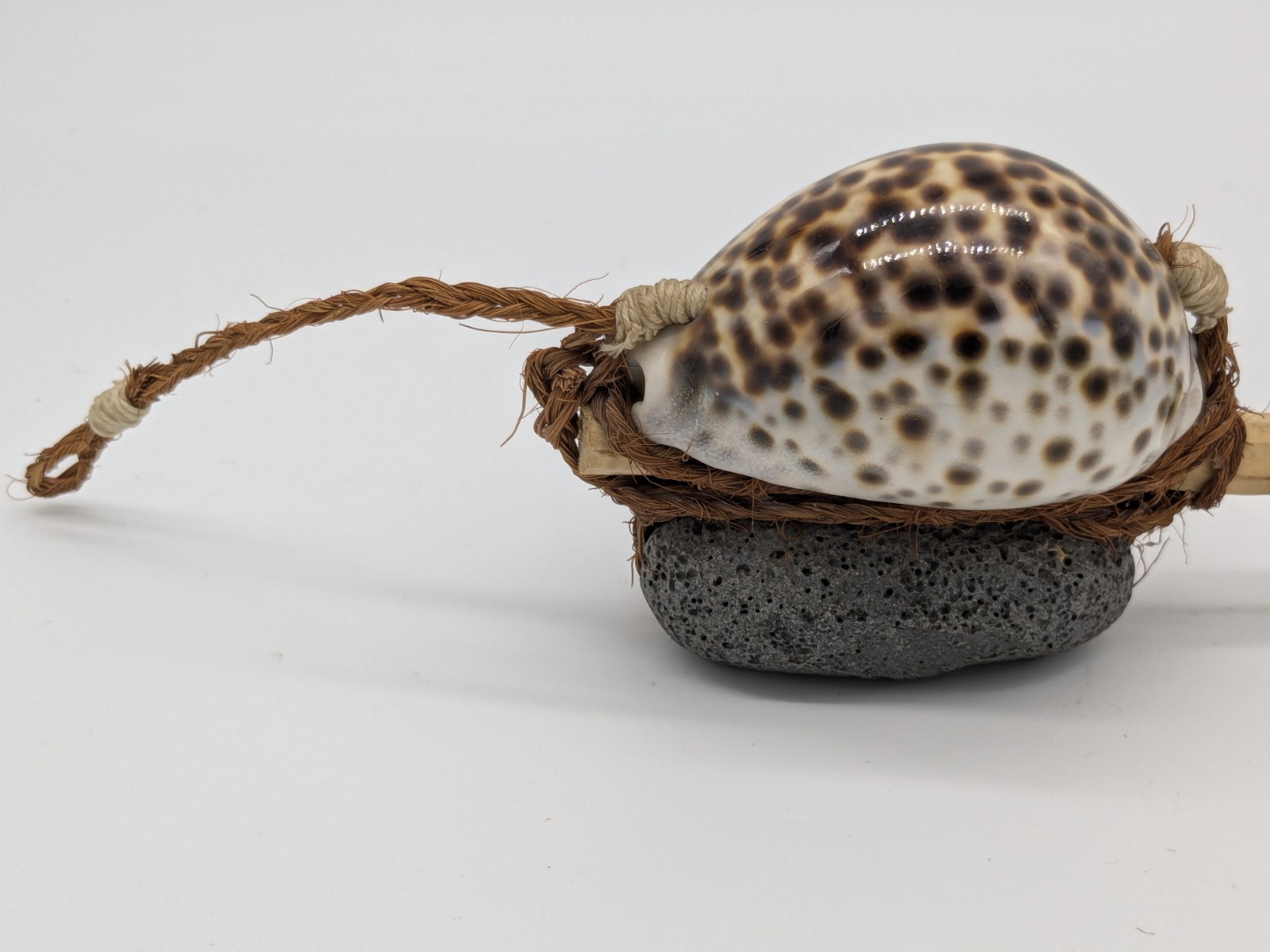 Rare Vintage Hawaiian Traditional Octopus Lure 14 1/4" Cowrie Fishing