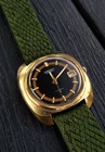 Seiko 7005 7080 Vintage Dive Gold Plated Automatic 1974
