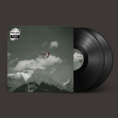 Bardo Pond / Melt Away