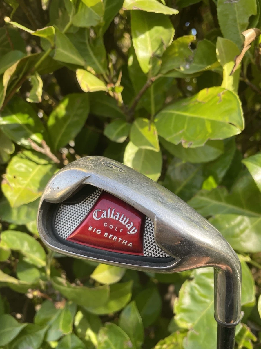 Ensemble de fers Mavrik Pro 4-PW avec tiges en acier | CALLAWAY | Iron Sets | Hommes | Golf Town Limited