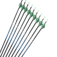 12pcs Carbon Arrows Sp300 ID6.2mm 2Inch Vane Compound Traditional Bow Hunting 