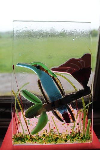 Jamaican Mango bird fused glass art free standing one off piece - Picture 6 of 8