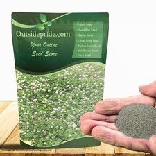 5 LBS - Inoculated White Dutch Clover Seeds For Planting, Lawns,