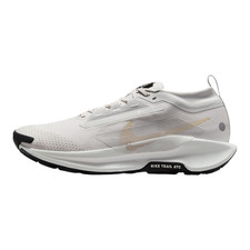 Nike Pegasus Trail 5 GORE-TEX Men's Waterproof Trail Running Shoes Vast Grey/