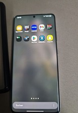 Samsung Galaxy S21 Ultra 256GB Silber Android – Glas/Rückseite beschädigt