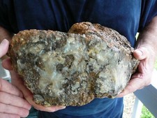 DF860-1) 26 pound Fossil REAL DINOSAUR POOP Coprolite Dino Valley Utah DUNG Poo