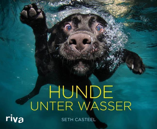 Hunde Unter Wasser Seth Casteel