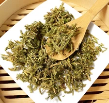 伸筋草 / Shen Jin Cao / Herba Lycopodii /Ground Pine, Common Clubmoss