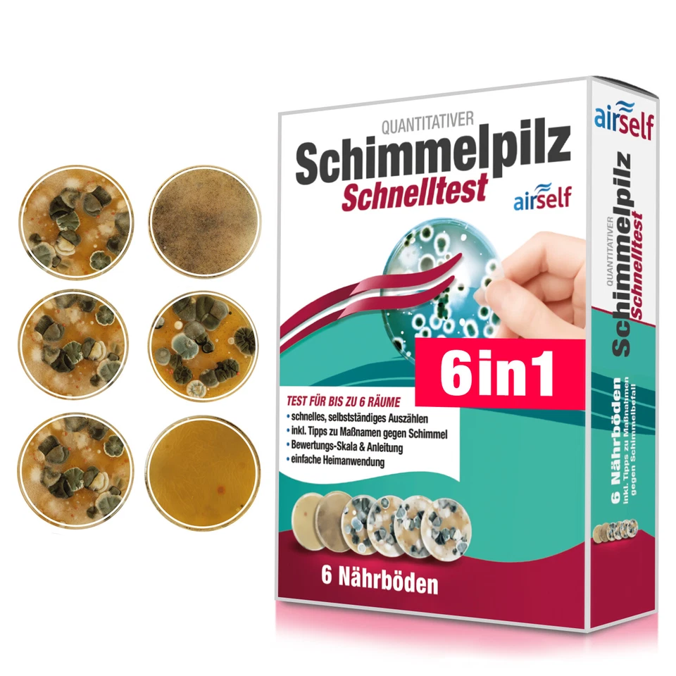 Schimmeltest für zu Hause - Schimmelpilz Test für bis zu 6 Räume von airself