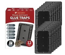 Mouse & Insect Traps 12 Pack, Heavier Sticky Traps with Non-Toxic Glue for Mice