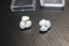 14k Gold Natural Fresh Water Pearl Stud Earrings