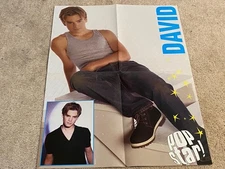 David Gallagher Ashley Parker Angel teen poster clipping O-town muscles Young