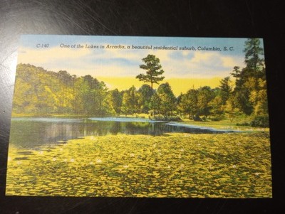 Collumbia,SC Lakes In Arcadia Vintage Postcard