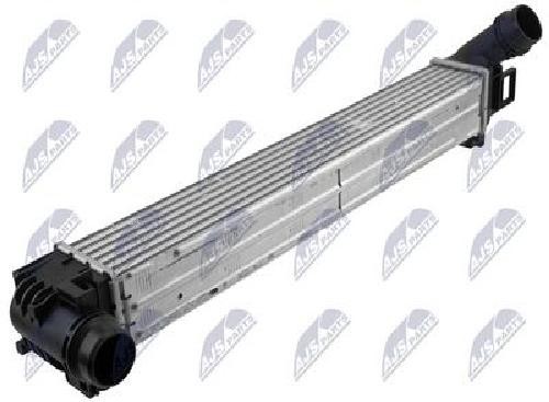 Original NTY Intercooler CNG-RE-007 For Renault