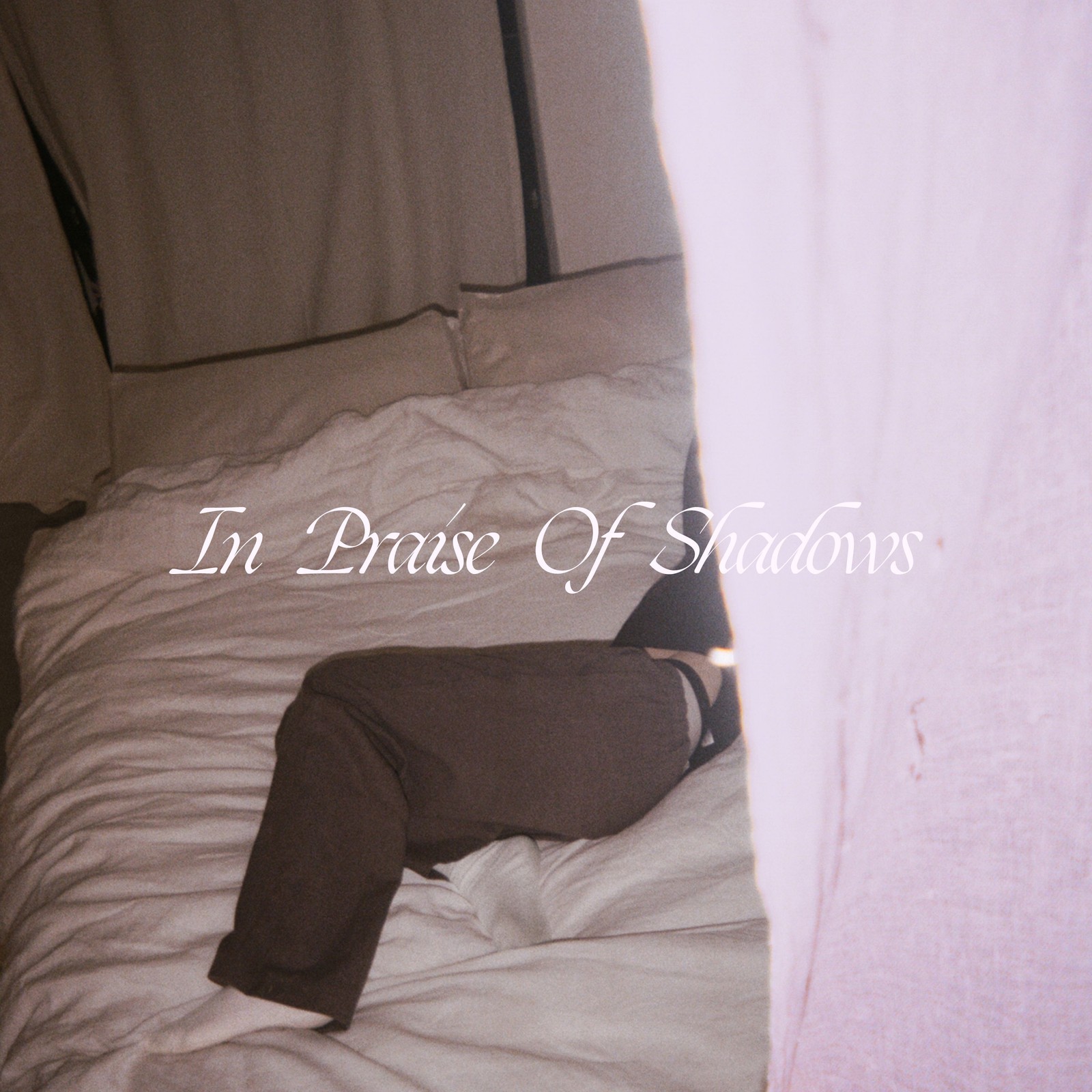 Альбом Puma Blue In Praise of Shadows (CD) (ИМПОРТИРОВАН из Великобритании)