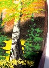 Bild 6 von 8