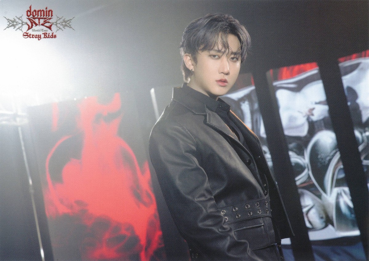 Stray Kids Changbin World Tour Japan Random Photo Card 4x6 SKZ | eBay