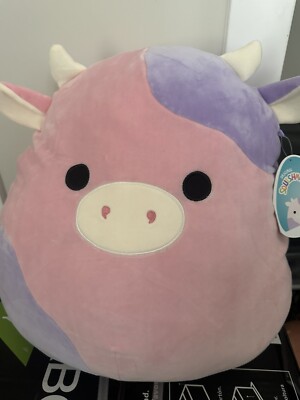 New with Tag patty the cow squishmallow 16” (Learning Express Edition ...