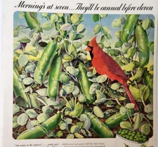 Cardinal Bird Pea Pods Jolly Green Giant Ad Vintage 1939 Magazine Print