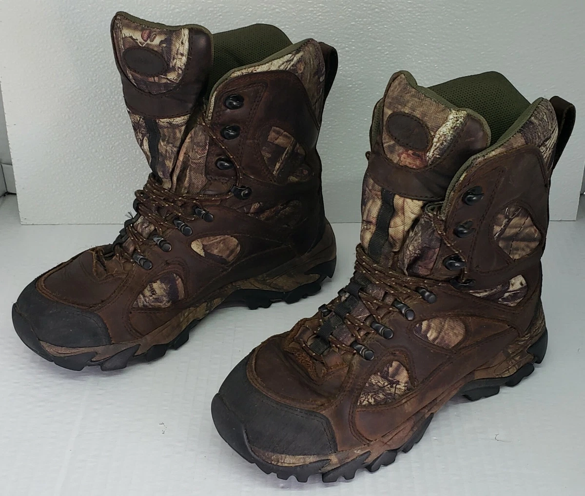 Cabelas hotsell irish setter