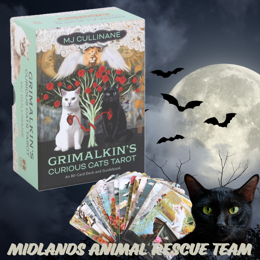 Grimalkin's Curious Cats Tarot Cards - Sale For Our Animal Charity