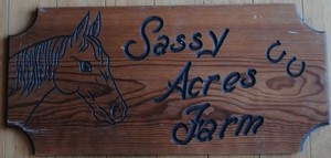 VINNTAGE HORSE FARM DOUBLE SIDED CARVED WOOD SIGN "SASSY ACRES FARM"