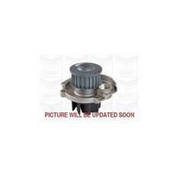 Wasserpumpe MotorküHlung Graf PA1030 FüR Alfa Romeo Chrysler Fiat Ford Lancia
