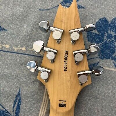 Edwards E-CS-160 Galneryus Syu Crying Star Model Electric Edwards E-CS-160 Galneryus Syu Crying Star Model Electric