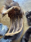 Vintage Mink Pieces Lot Headband Mink Feet Collars — photo 5