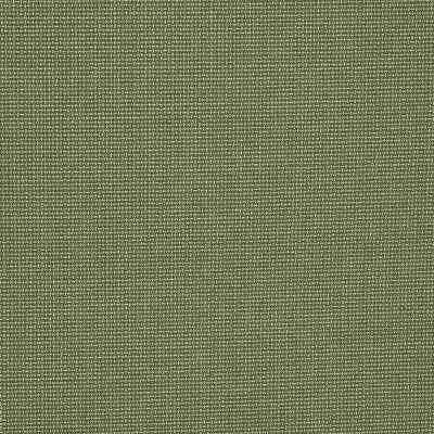 Sunbrella  Outdoor/Indoor Upholstery Fabric 54'' Bliss Aloe 48135-0017