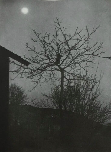 Stunning study of moonlight 1937 by Austrian photographer Alfred Huttar