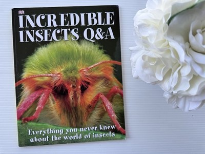 Incredible Insects Q&A DK Children s Book   Fun Facts About Insects & Bugs