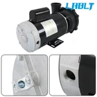 LABLT Executive 56-Frame 4HP Dual-Speed Spa Pump, 2in Intake, 2in Discharge