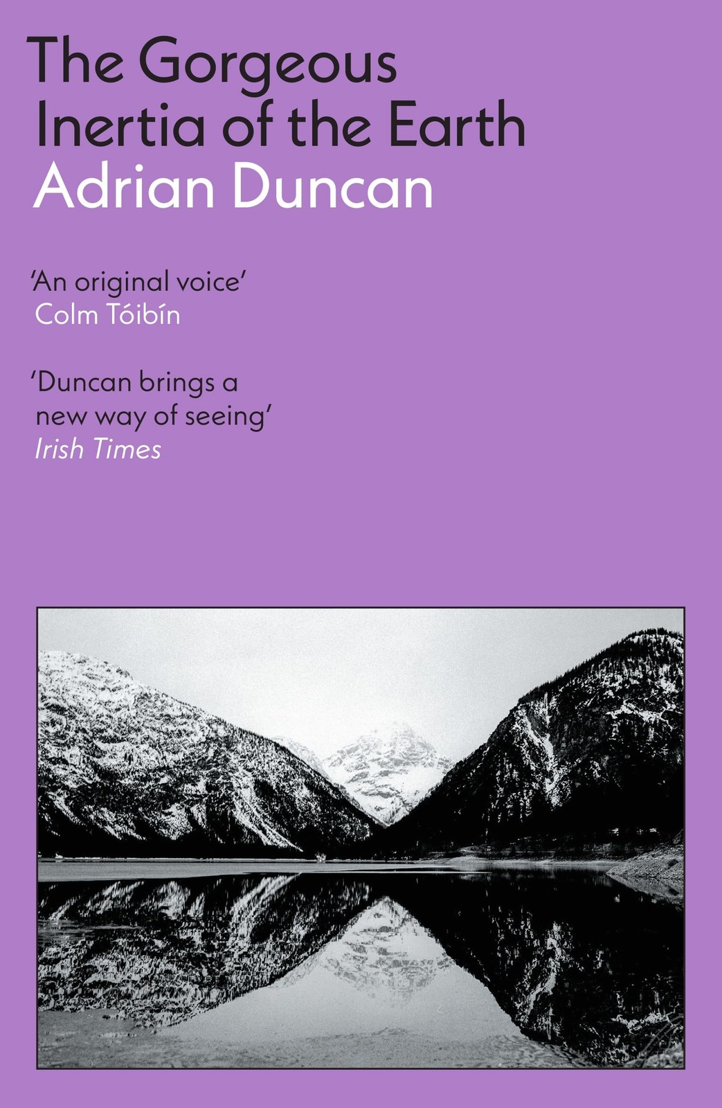 The Gorgeous Inertia of the Earth by Adrian Duncan NEW - Image 6